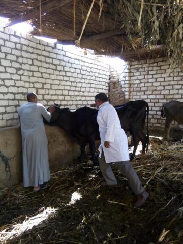 تنمية الثروة الحيوانية وحمايتها من الأمراض والأوبئة
