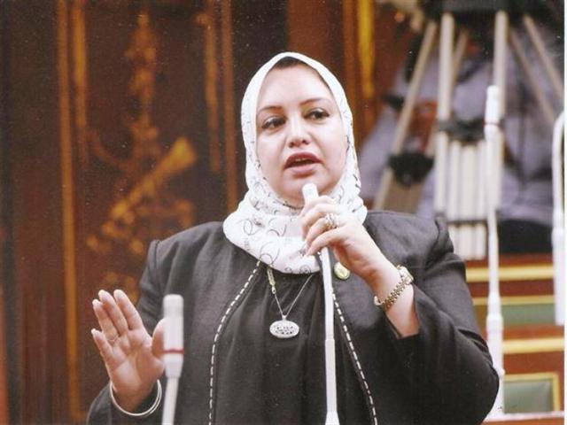 النائبة سولاف درويش وكيل لجنة القوى العاملة بمجلس النواب