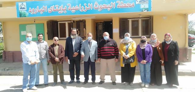 النهار نيوز