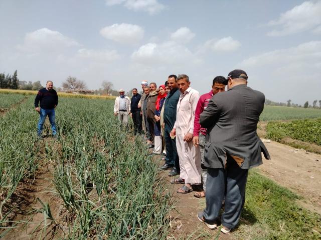 النهار نيوز