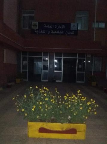 النهار نيوز