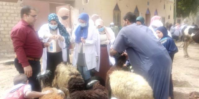 القافلة البيطرية المجانية لقرية بني عمار بمركز طهطا