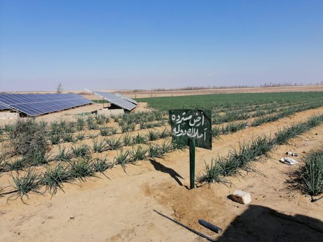 النهار نيوز