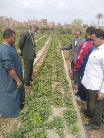 قافلة زراعية بقرية الدير بمركز طوخ