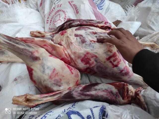 النهار نيوز