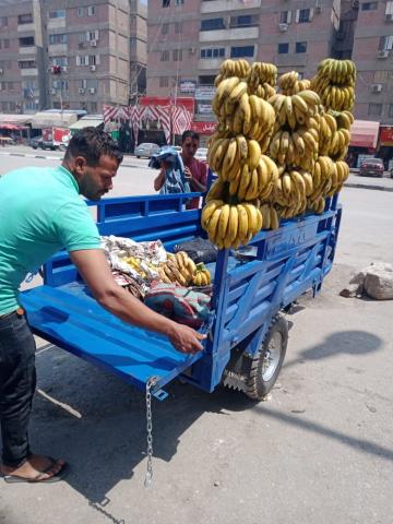 النهار نيوز