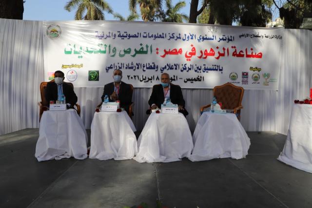 النهار نيوز