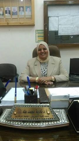 النهار نيوز