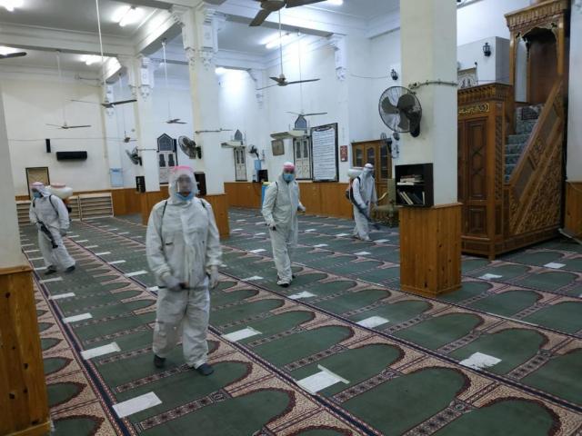 النهار نيوز