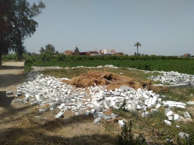 النهار نيوز