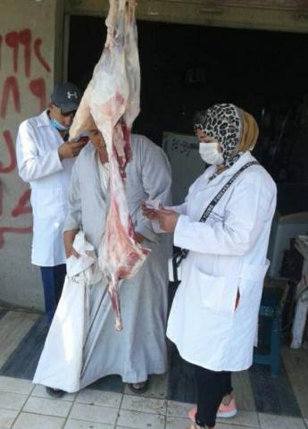 النهار نيوز