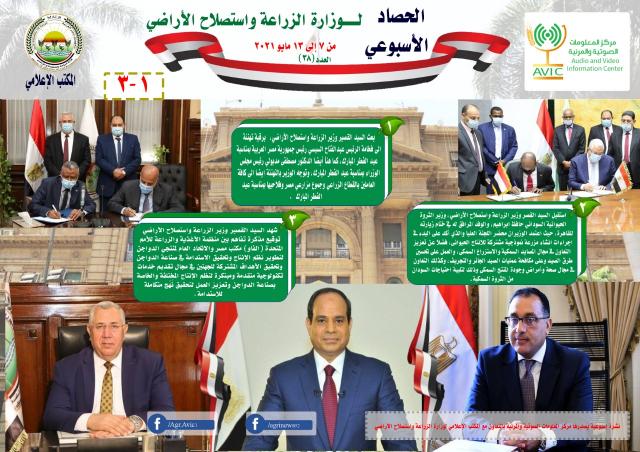النهار نيوز