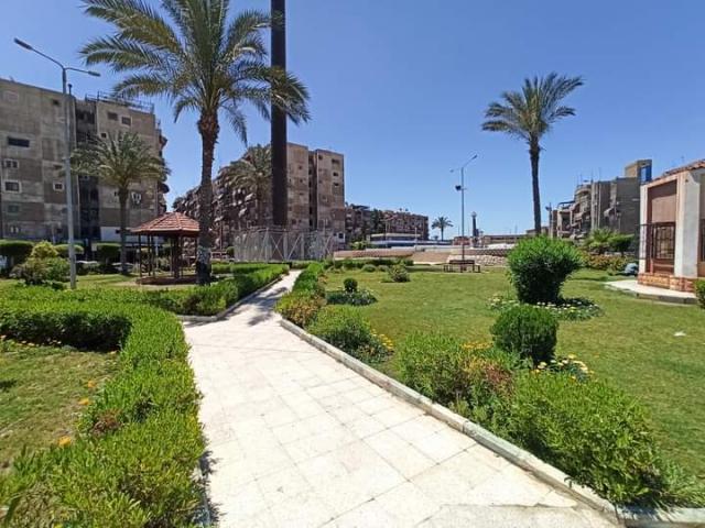 النهار نيوز