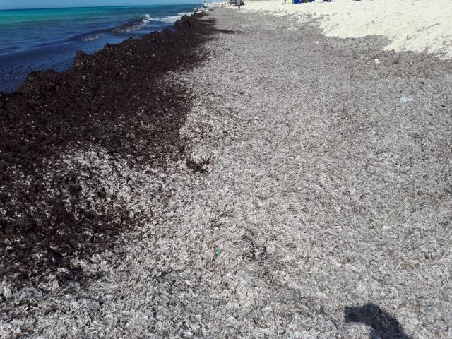 النهار نيوز