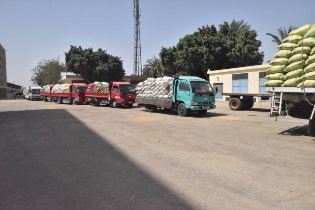 النهار نيوز