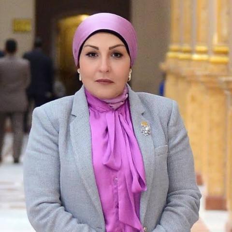 النائبة هالة أبو السعد وكيل لجنة المشروعات الصغيرة بمجلس النواب