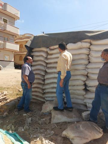 النهار نيوز