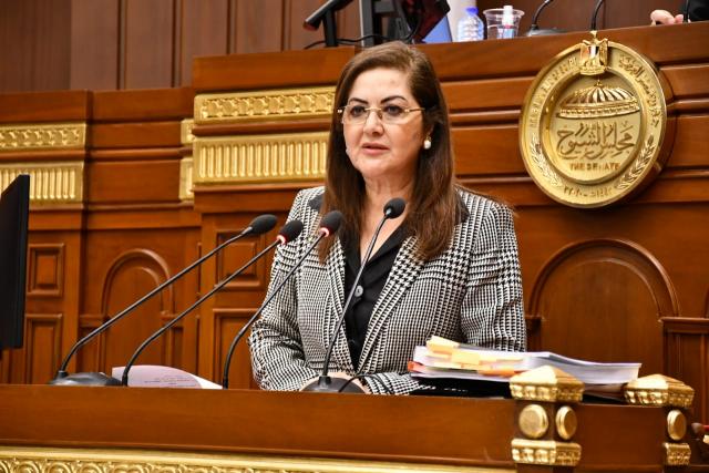 الدكتورة هالة السعيد وزيرة التخطيط والتنمية الاقتصادية