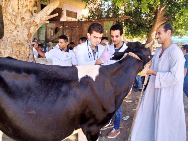 النهار نيوز