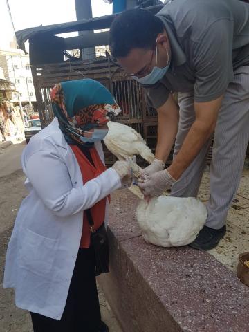 النهار نيوز