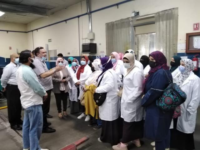 النهار نيوز
