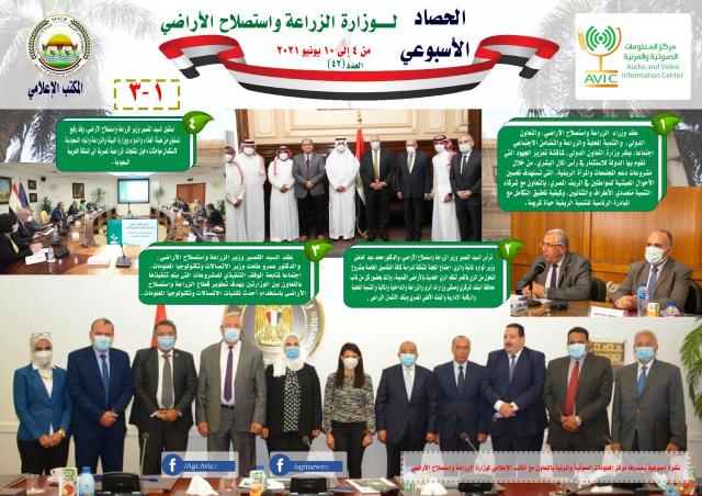النهار نيوز