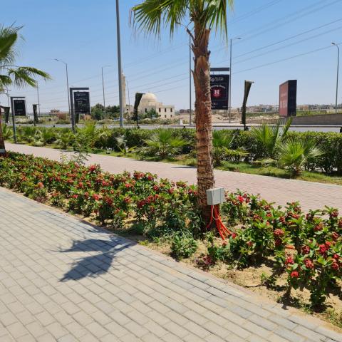النهار نيوز