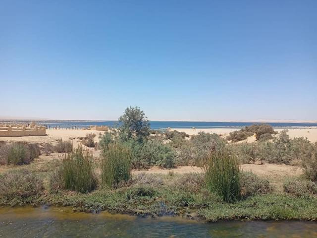 النهار نيوز