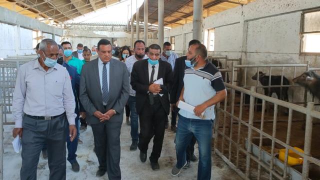 النهار نيوز