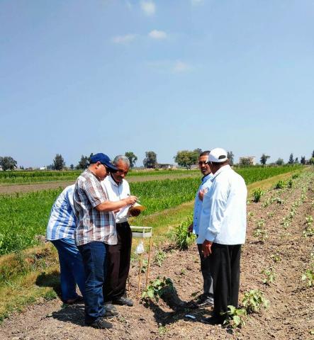 النهار نيوز