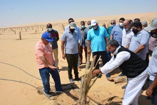 النهار نيوز