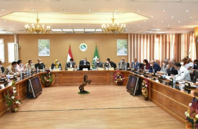 النهار نيوز