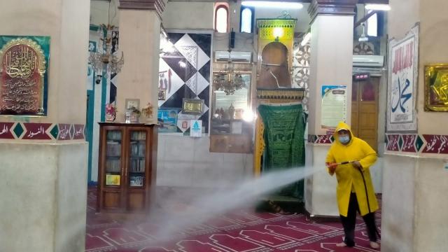النهار نيوز