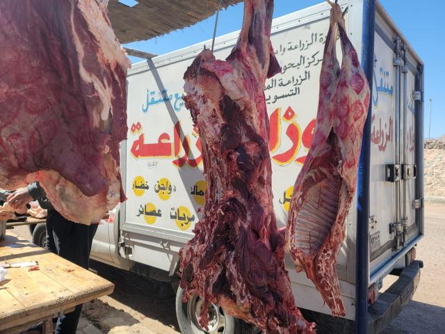 النهار نيوز
