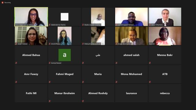 جانب من الفاعلية