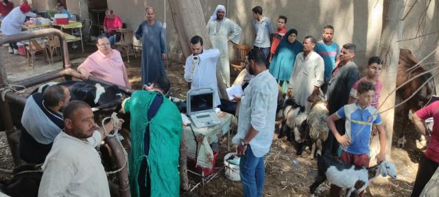 النهار نيوز