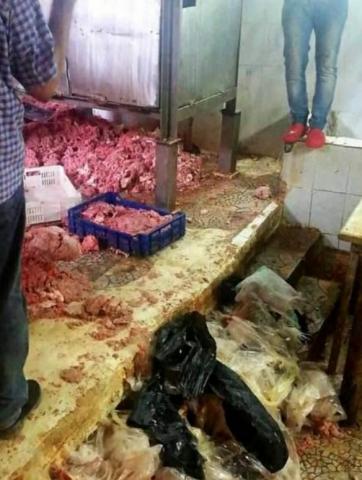 النهار نيوز
