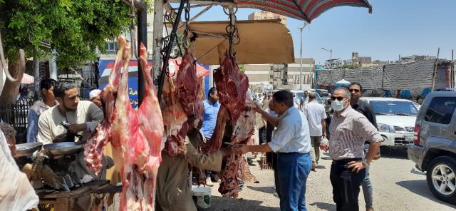 النهار نيوز