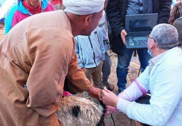 النهار نيوز