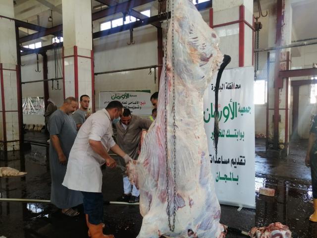 النهار نيوز