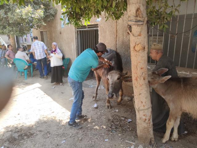 النهار نيوز