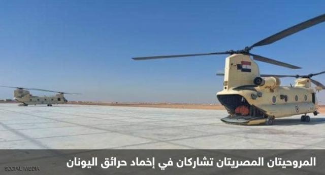 النهار نيوز