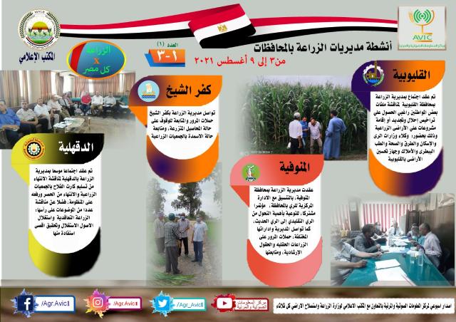 النهار نيوز