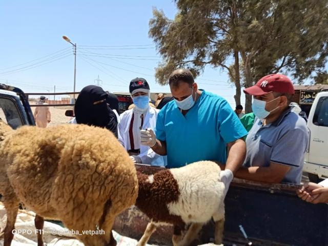 النهار نيوز