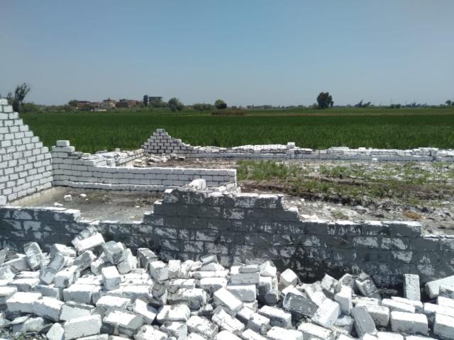 النهار نيوز