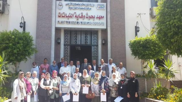 النهار نيوز