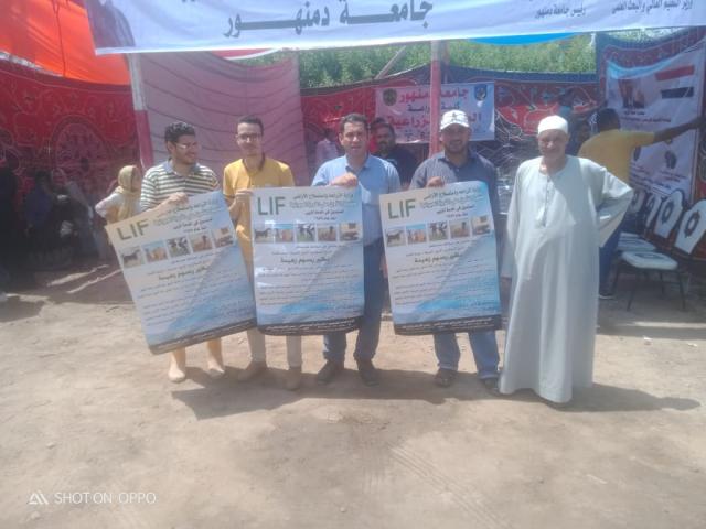 النهار نيوز