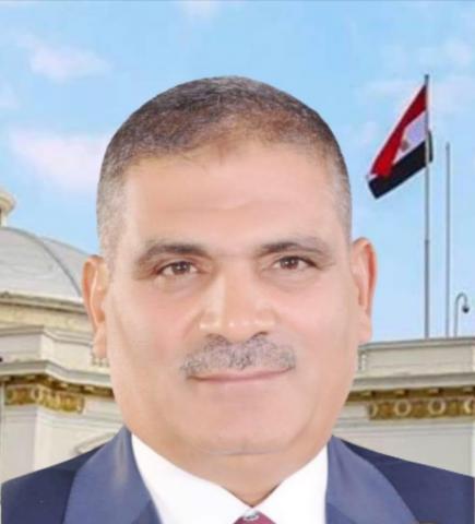 النائب محمد محمود عبدالقوي