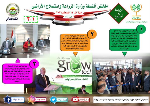 النهار نيوز