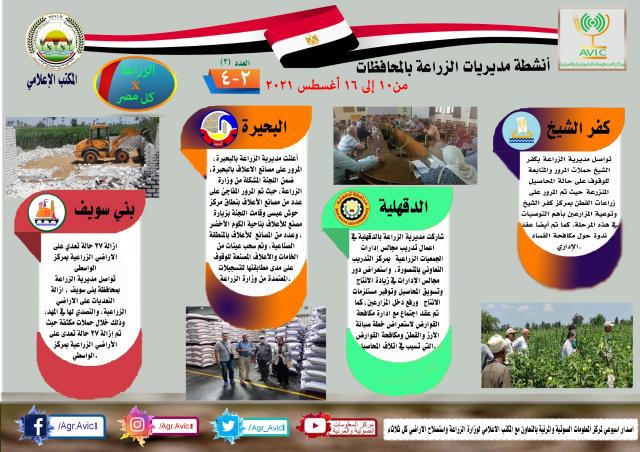 النهار نيوز